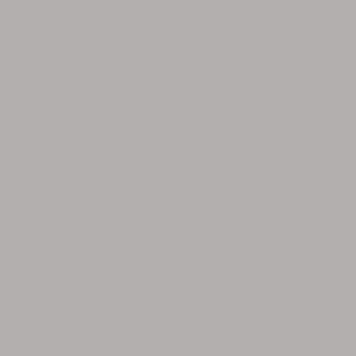 Corian® Silver Grey