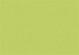 HI-MACS® Light Green